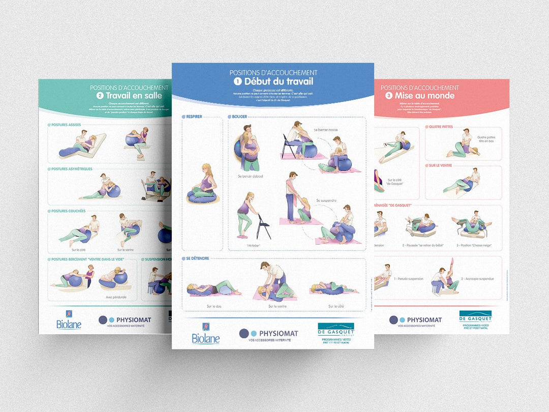Modèle De Vertébre Cervicale Anatomique Idéal Pour L'enseignement Du
